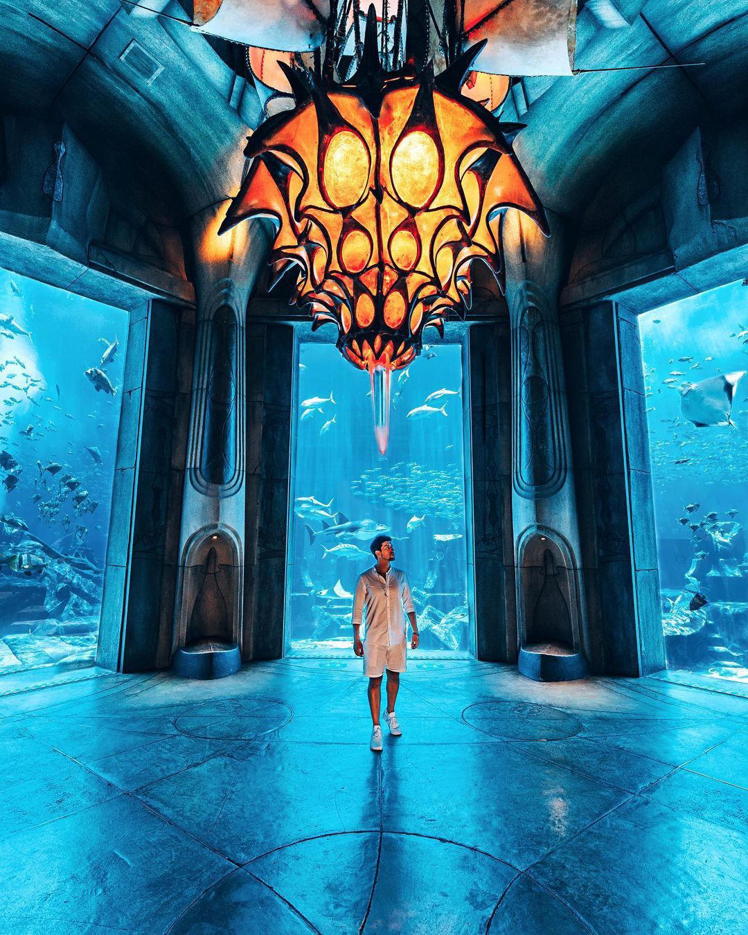 image  1 Atlantis The Palm, Dubai - Take a stroll through our #LostChambersAquarium and immerse yourself in t